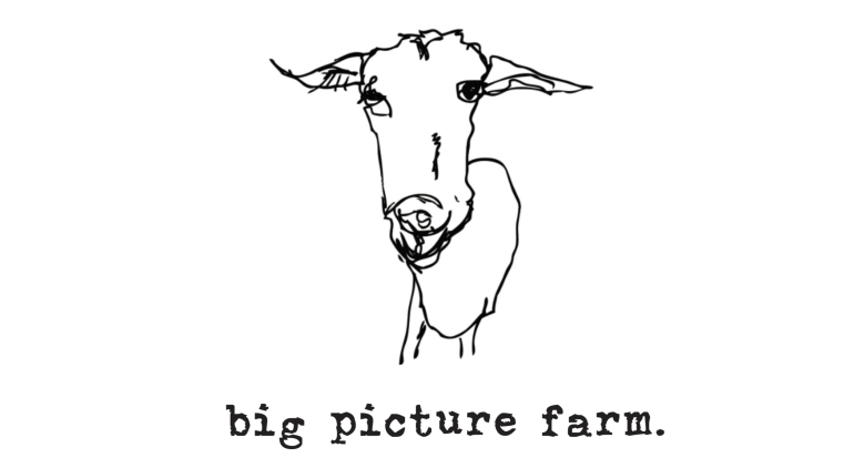 Hand-drawn picture of a goat
